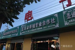 延長(zhǎng)有機(jī)農(nóng)特產(chǎn)品直銷(xiāo)市場(chǎng)暨電子商務(wù)體驗(yàn)區(qū) 開(kāi)啟電子產(chǎn)品批發(fā)零售新篇章